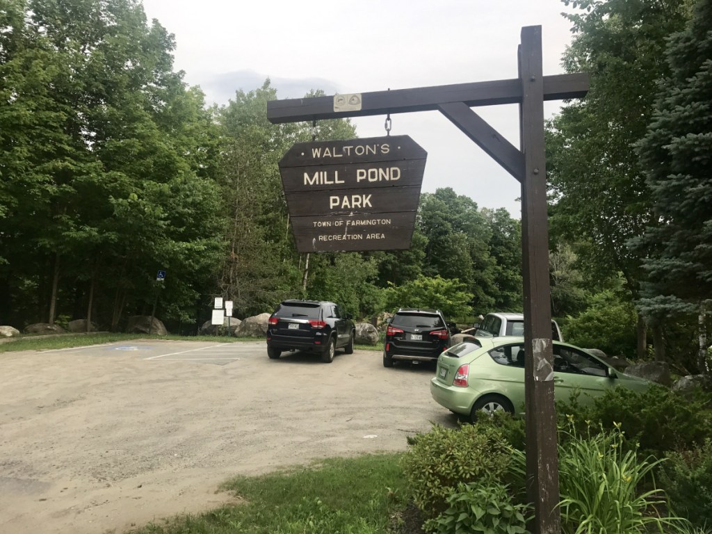 A $1.2 million project that won Farmington selectmen's approval Tuesday night would include removal of the Walton's Mill Dam and upgrading a surrounding public park, seen Tuesday. Now the plan is expected to be submitted to town voters in a referendum, probably in November.
