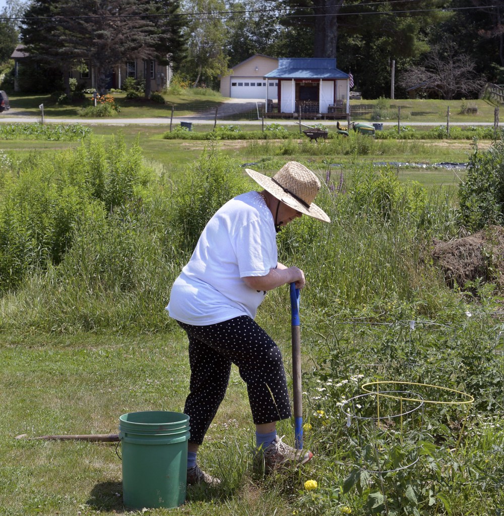 Janet Cowperthwaite weeds in her plot Wednesday at the Annabessacook Farm in Winthrop. Owners Jop Blom and Craig Hickman donate space for neighbors to garden on the farm. "He works so hard," Cowperthwaite said of Hickman, who was injured in a fire Tuesday.
