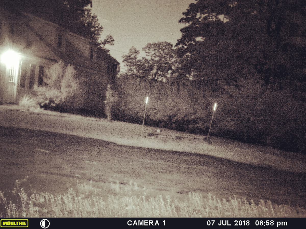 Durham woman captures visiting ghost on game camera