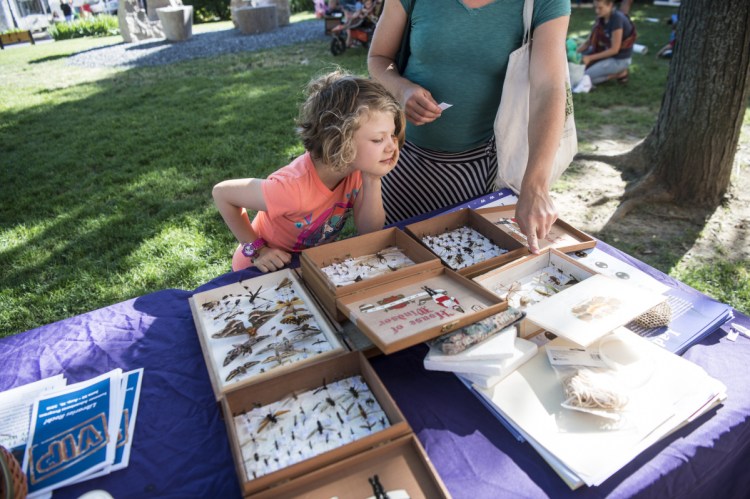 Haley Carmichael and her daughter Malia, 6, check out insect displays Thursday at the Maine SNAP-Ed kids club table at Castonguay Square, adjacent to the Waterville Farmers Market.