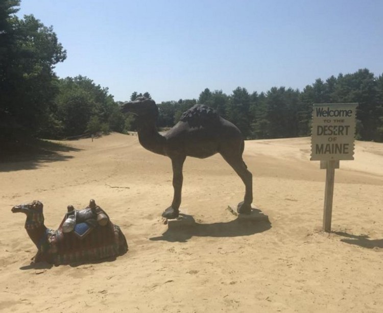 The Desert of Maine is located 2 miles off Interstate 295 at the end of Desert Road in Freeport. Though not a true desert, summer temperatures are well above other spots in town.