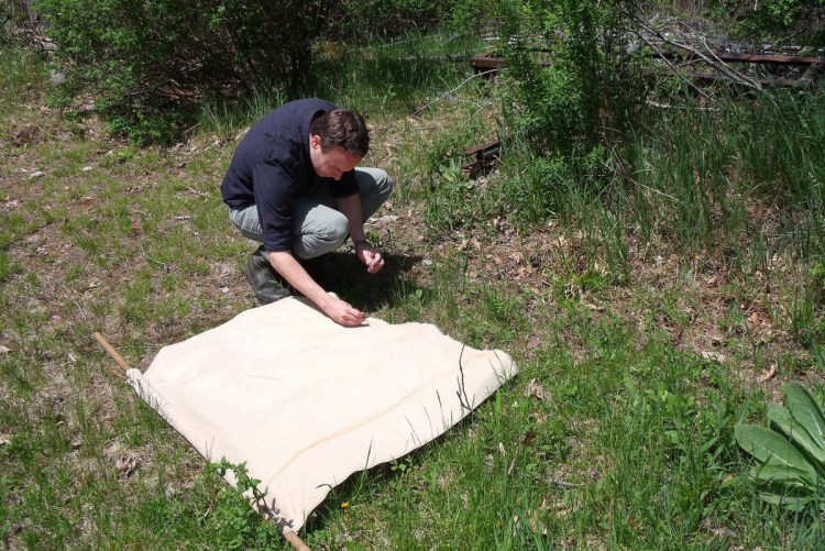 Tick ecologists such as Griffin Dill of the University of Maine Cooperative Extension have tracked the advance of deer ticks across all 16 of Maine's counties. The number of Lyme disease cases in the state reached 1,769 in 2017, a 19 percent increase over the previous year.