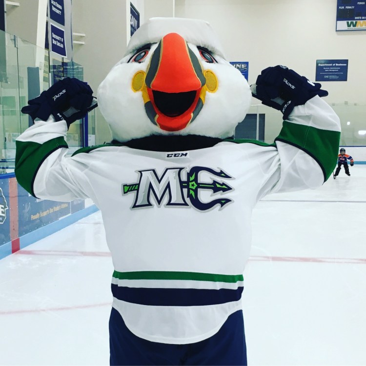 The Maine Mariners revealed Beacon the Puffin as their mascot on Wednesday. 