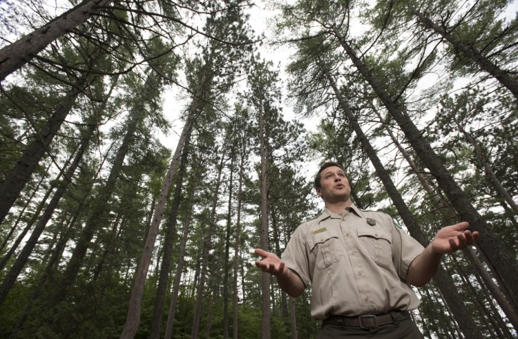 "I think a large part of my job is to become a scholar of (Gov. Percival Baxter's) wishes," says Eben Sypitkowski, the newly hired 35-year-old director of Baxter State Park.
