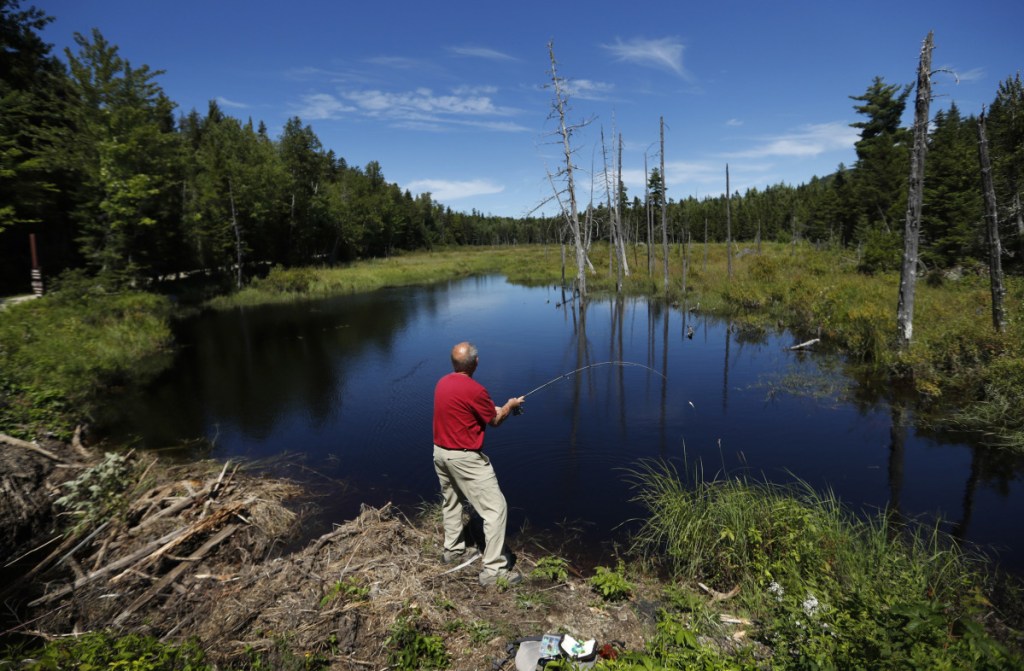 A visitor to the Katahdin Woods and Waters National Monument casts for brook trout in a small pond. 