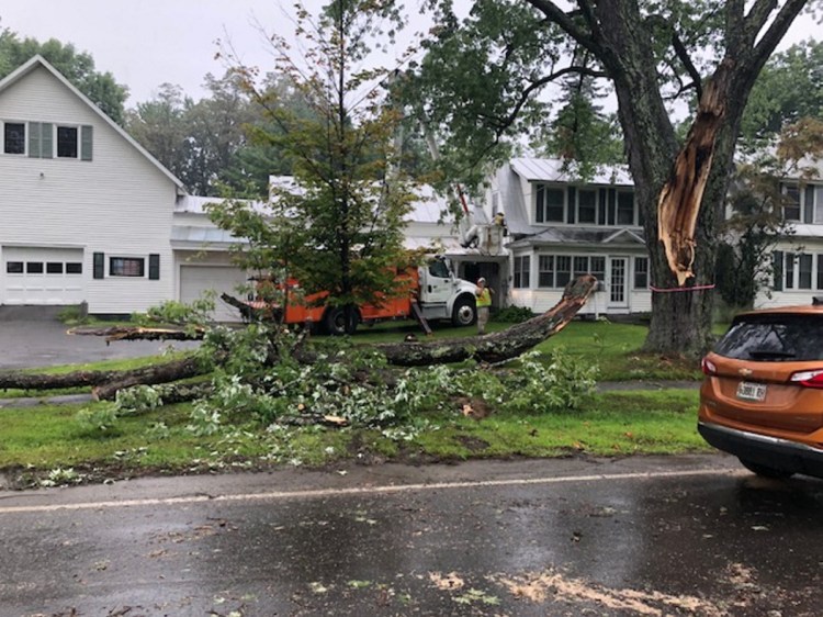 A large section of a maple tree fell into the road Tuesday afternoon on Jewett Street, dislodging power lines and contributing to traffic woes in Skowhegan.