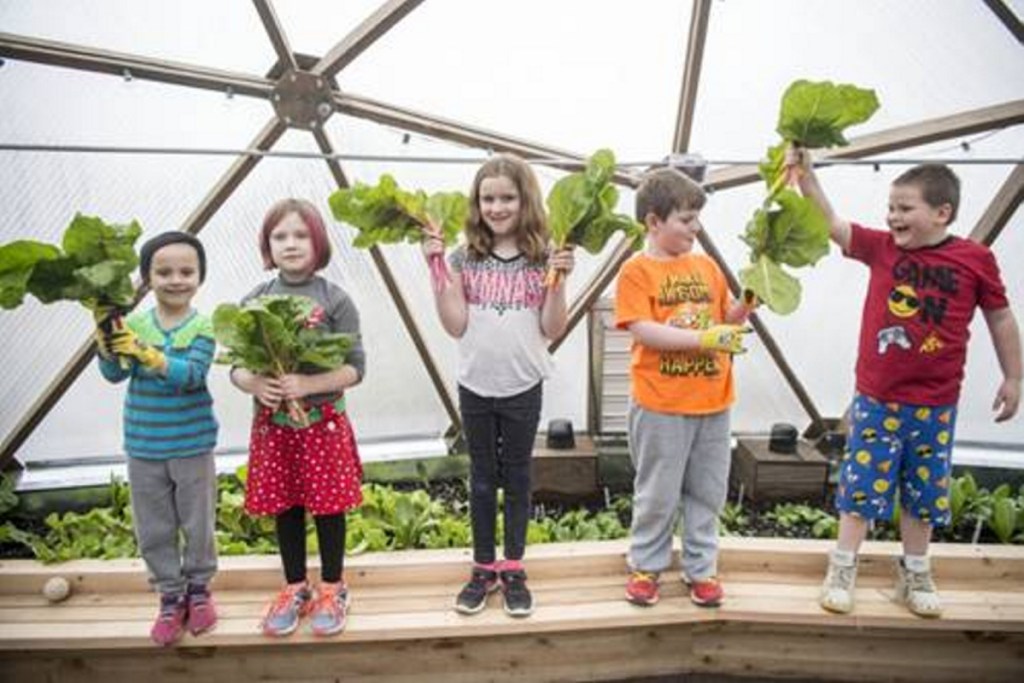 Garden to Table program participants, from left, Emma Gallagher, 6, Lahla Brann, 7, Emma Chaput, 8, Anderson Phinney, 8, and Xavier Bernardini, 7. The children show off their freshly cut chard, which they grew in the new geodesic dome greenhouse at the Alfond Youth Center in Waterville.