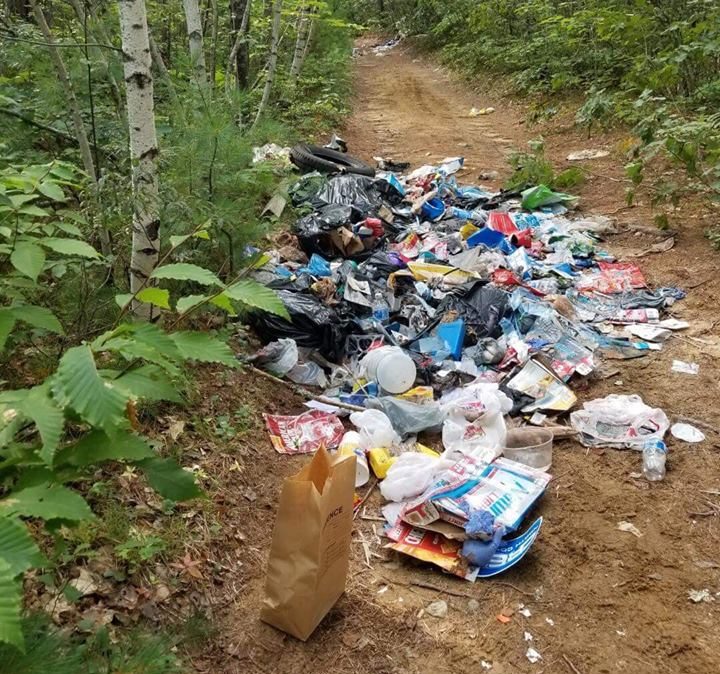 Maine Forest Rangers are investigating the illegal dumping of trash on a gravel road in Fryeburg.