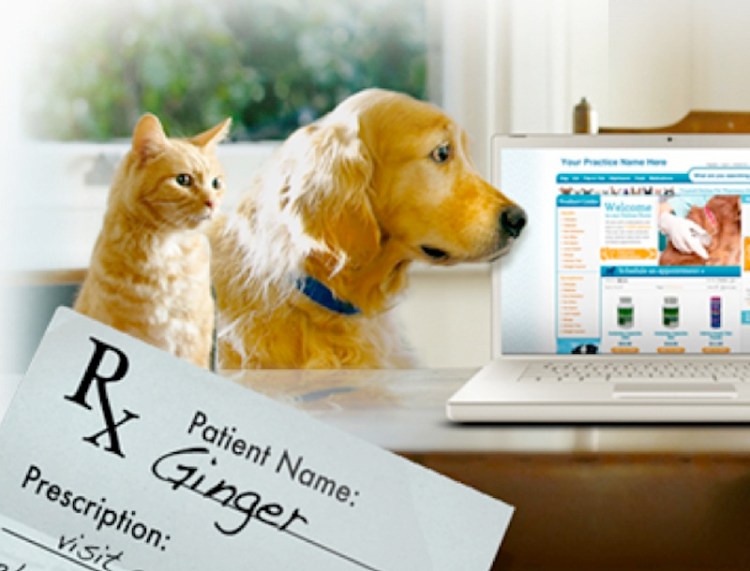 Vets First Choice, an online veterinary pharmacy, is ranked as one of the fastest growing companies in the country. Above, an image from the company's website.