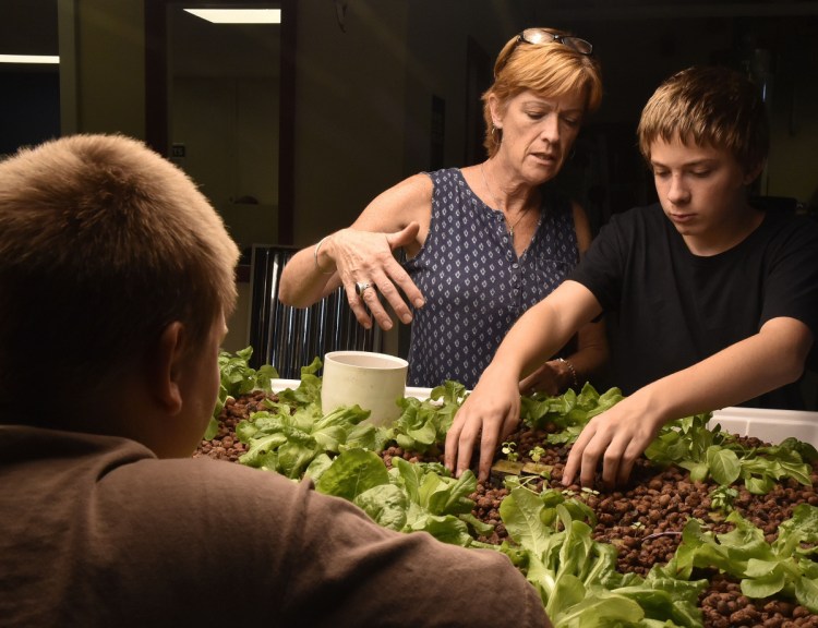 Madison Junior High School teacher Julie Wallace assists Aiden Taylor, right, with an aquaponics project as Dusty Corson looks on in an alternative education class on Thursday.
