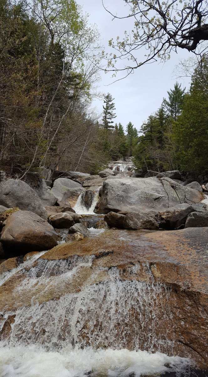 Take a look up the trail at Step Falls Preserve and you are not far away from stunning views, and plenty of spots for a picnic.