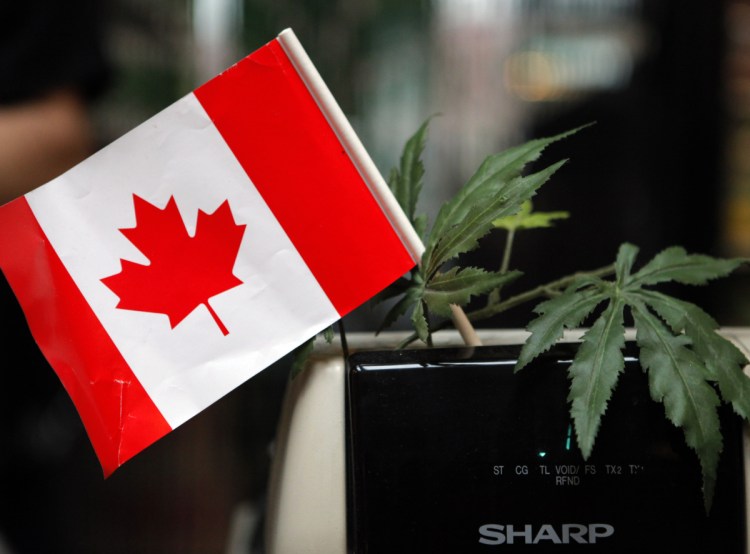 The marijuana leaf won't replace the maple leaf on the Canadian flag, but the pending legalization of pot in Canada does give root to multiple issues.