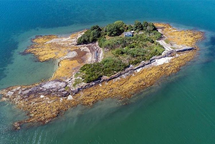 Crab Island, up for sale for the first time in 65 years, appears to have a buyer. It has a two-bedroom cottage and was once owned by Robert Peary.