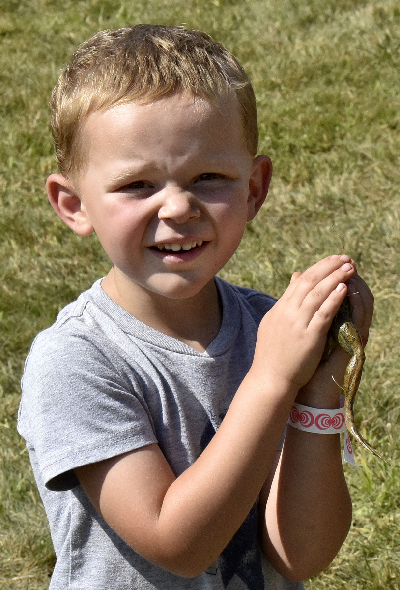 Gallery Harmony Fair Kennebec Journal and Morning Sentinel