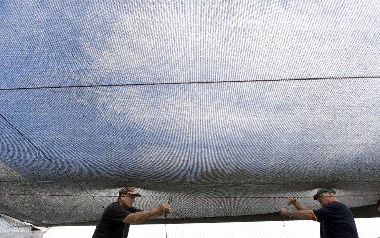 Litchfield Fair Second Vice President James Campbell, left, and First Vice President Dick Brown hang netting at the Litchfield Fairgrounds on Wednesday.