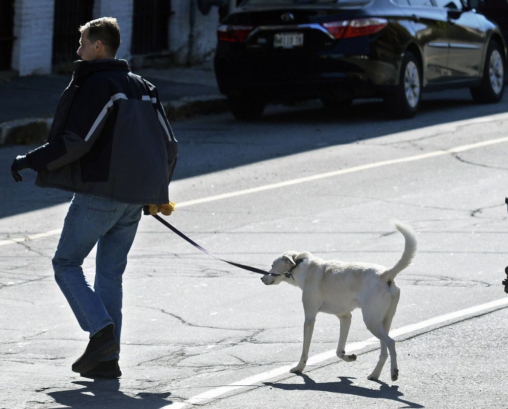 Russell Cate, of Augusta, walks his dog, Artemis, on Friday in Augusta. Cynthia Roodman, who was attacked by two dogs in July, is working to submit legislation for the next session of the Legislature to impose criminal penalties against dog owners whose animals attack people and who leave the scene without helping the victim.