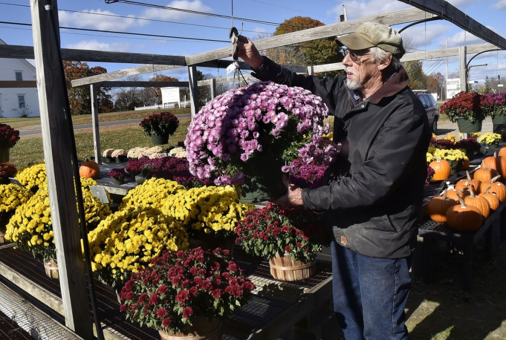 Farmer Richard Freeman hangs a mum plant in his retail shop at Hilltop Farm and Greenhouses in Fairfield Center on Monday. Freeman said he is still learning about and in favor of the proposed food sovereignty ordinance the town is considering.