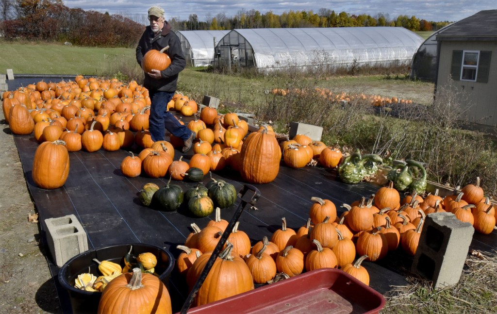 Farmer Richard Freeman carries one of the many pumpkins he grows and sells at his Hilltop Farm and Greenhouses in Fairfield Center on Monday. Freeman said he is still learning about and in favor of the proposed food sovereignty ordinance the town is considering.