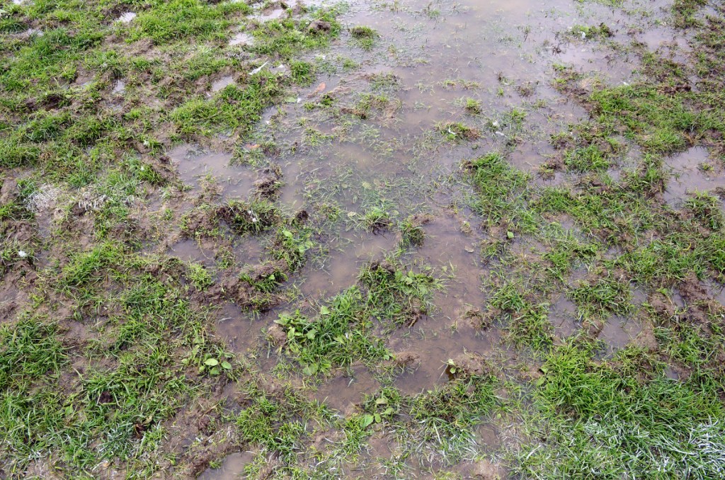 Water puddles dot the muddy surface of Alumni Field at Cony High School. The school announced Wednesday that it will play its Pine Tree Conference Class B semifinal game Nov. 2 at Lewiston High School because Alumni Field isn't suitable to host a game.