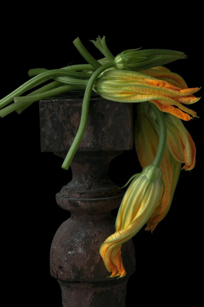Draped Squash Blossoms included in the current Art in the Capitol exhibit by the Maine Arts Commission, a free exhibit now on view at the Maine State Capitol complex in Augusta through Dec. 31.