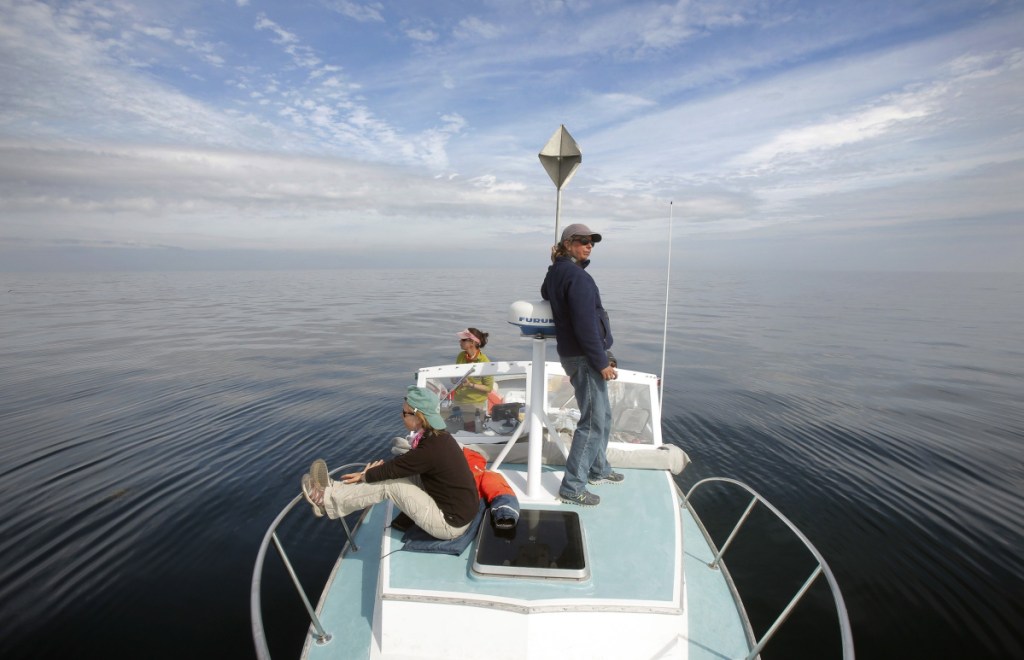 BAY OF FUNDY, ME - SEPTEMBER 8: From left, Brigid McKenna, Monica Zani and Amy Knowlton look and listen for right whales aboard the Nereid with the boat stopped and the motor off in the Grand Manan Basin in the Bay of Fundy on Tuesday, September 8, 2015. The researchers stop their boat for 10 minutes every hour to listen for whale blows because, in the quiet expanse of the Bay of Funday, it can sometimes be easier to hear the blows than to see the whales. The researchers, with the New England Aquarium, look for right whales mothers and calves in August and September and this year have only seen four right whales. In past years, they have seen more than 50. (Photo by Gregory Rec/Staff Photographer)