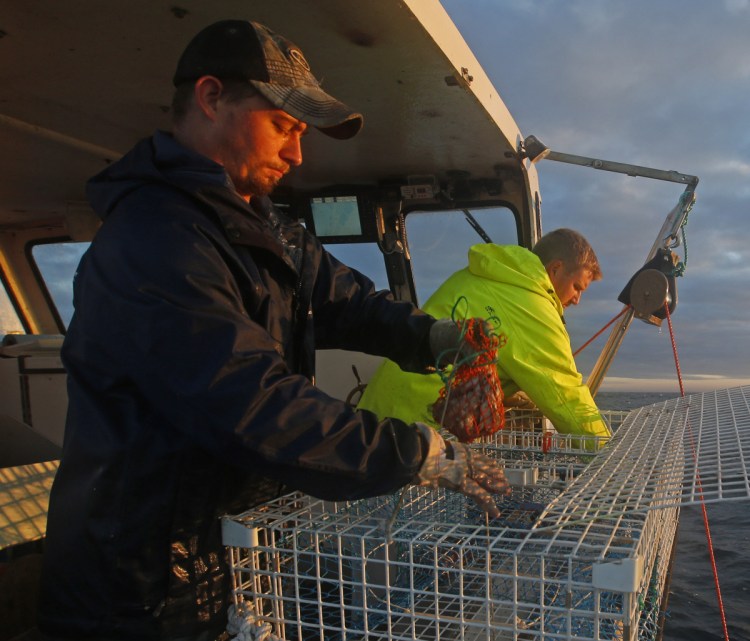 Sternman Brandon Demmons, left, places a bait bag containing herring into a lobster trap while fishing off Monhegan Island in 2014. The herring quote for 2019 has been cut by 78 million pounds.
