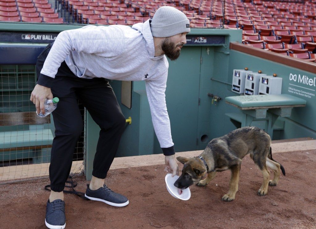 Porcello gives water to his four-month-old puppy Bronco.