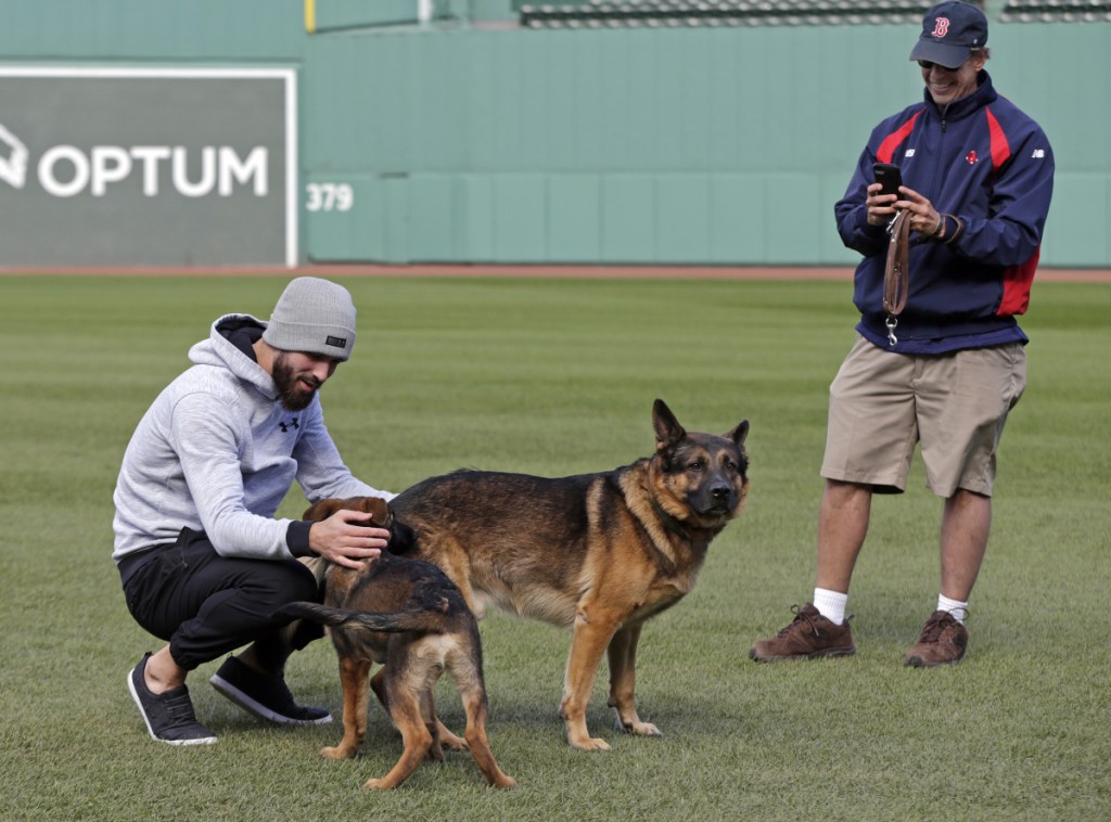 Red Sox pitcher Rick Porcello, left, plays with his 4-month-old puppy, Bronco. The Red Sox are preparing for Game 1 of the baseball World Series against the Dodgers scheduled for Tuesday night in Boston.