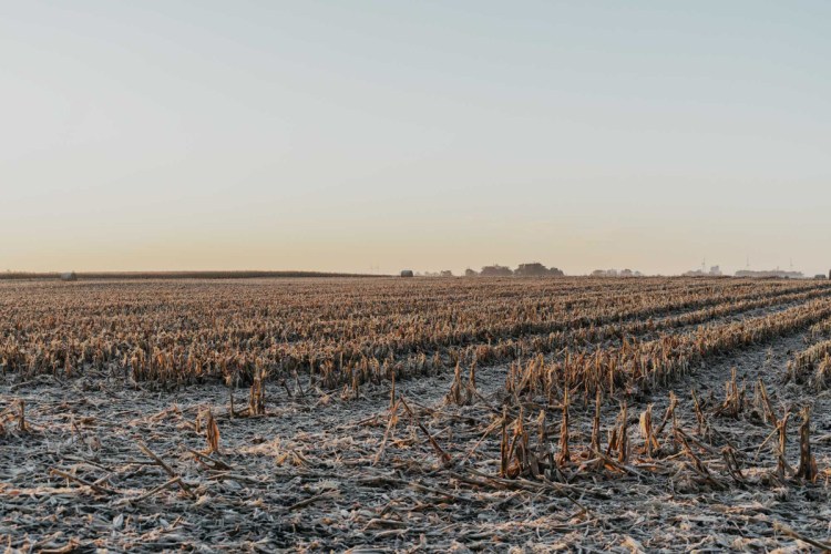 Frost covers the ground of a harvested corn field on a family farm in Iowa in  2016. 