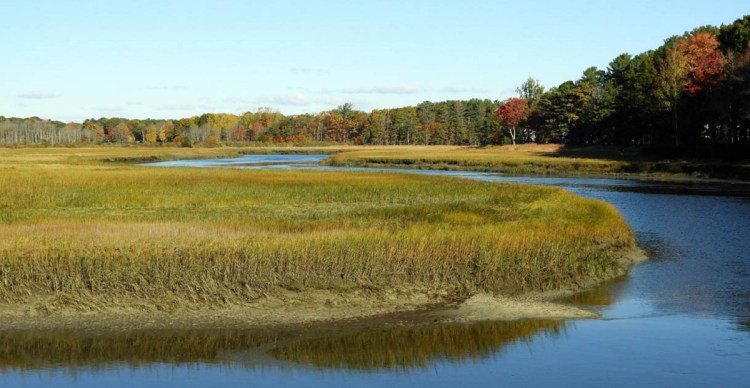 Marsh grasses are thick along the upper portion of the Nonesuch River.