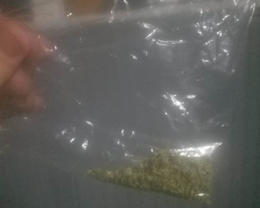 A family turned over this bag apparently containing marijuana after it turned up in the trick-or-treat bag of a 13-year-old Auburn girl. 