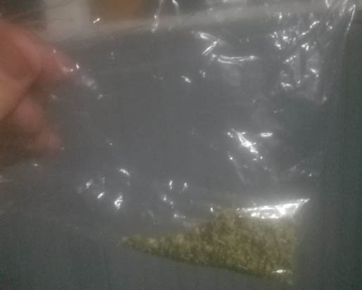 A family turned over this bag apparently containing marijuana after it turned up in the trick-or-treat bag of a 13-year-old Auburn girl. 