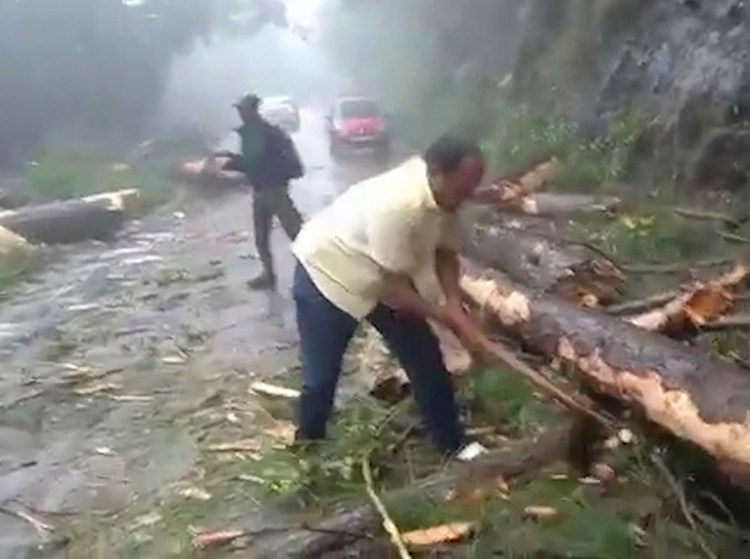 In this still from a video, a man chops branches from a tree to clear a road after a cyclone struck Cuddalore, in the southern Indian state of Tamil Nadu on Friday.