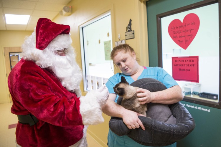 Melinda Dawes, a shelter worker, shares Felicity, one of the cats found recently in an a Unity storage unit, with Santa Claus as she prepares the cat for its new home Saturday at the Humane Society Waterville Area shelter in Waterville. The organization held an open house that day to raise money to keep the shelter open.