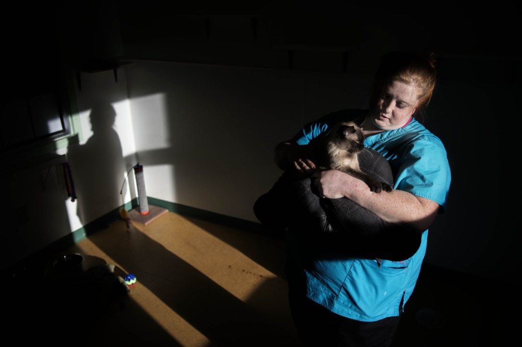 Gallery Waterville Shelter Kennebec Journal and Morning Sentinel