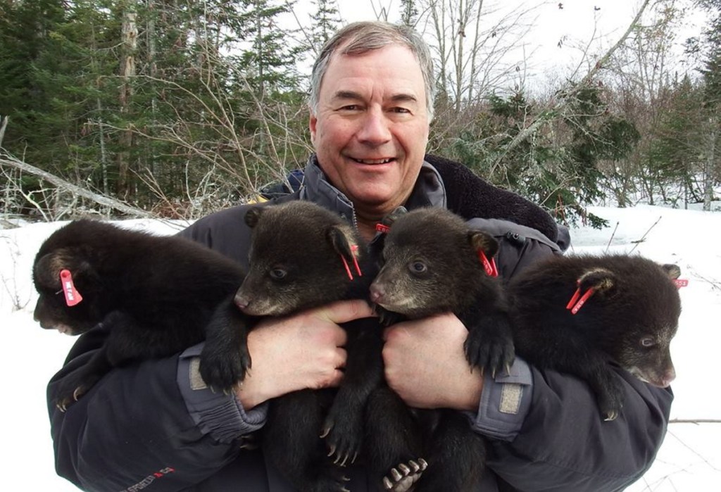Bob Duchesne with baby bears.