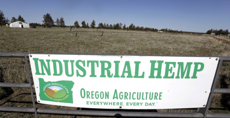 Big Top Farms near Sisters, Ore., advertises its hemp crop. President Trump is expected to sign a farm bill declassifying it as a federally controlled substance.