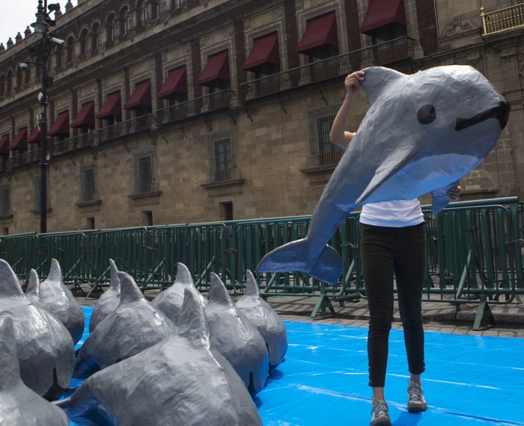 A World Wildlife Fund activist carries a paper mache replica of the vaquita marina during an event in front of Mexico's National Palace in July 2017.