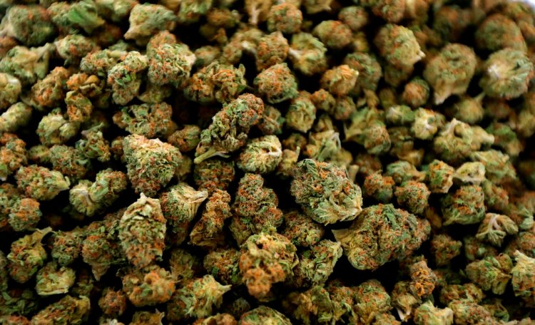 Michigan clears a threshold Thursday, as the first state in the Midwest to allow marijuana for more than just medical purposes. In the Nov. 6 election, voters by a wide margin endorsed recreational use by adults who are at least 21. 