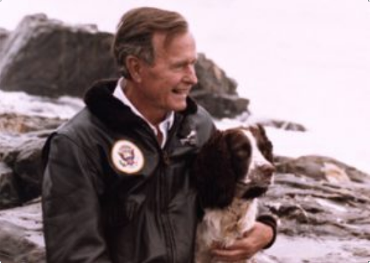 President George H.W. Bush with his springer spaniel, Ranger, on the rocks outside their home on Walker's Point, Kennebunkport in 1991. Photo provided by George Bush Presidential Library and Museum