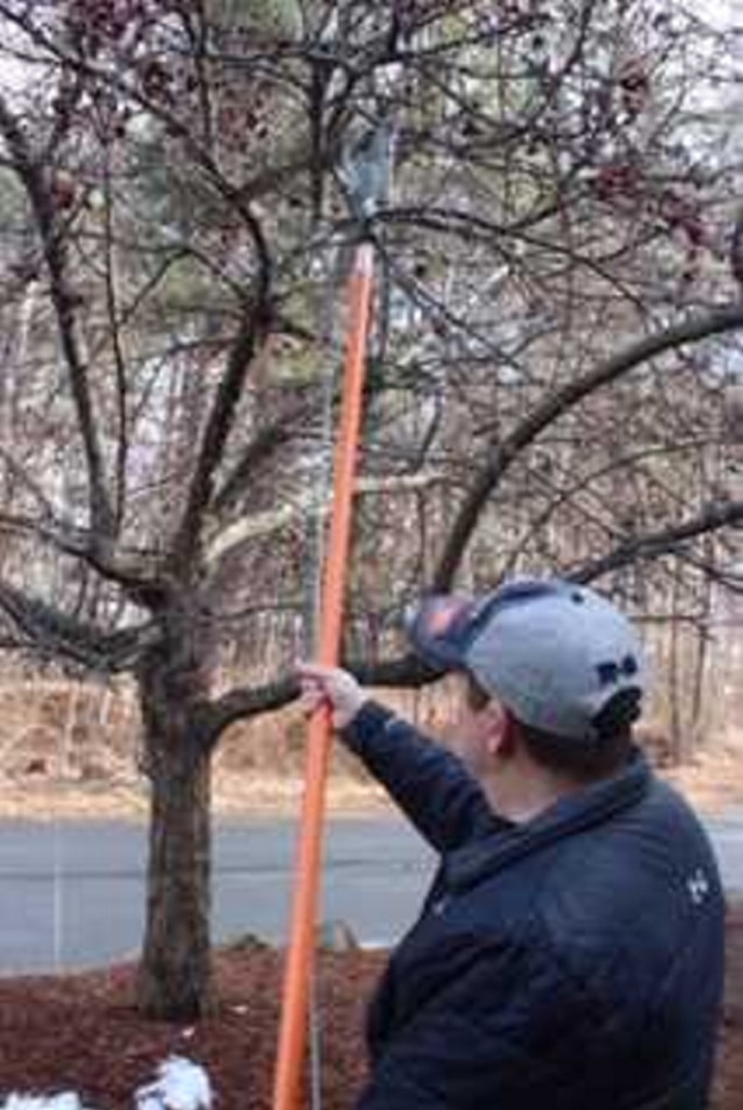 David Nichols demonstrating a pole pruner.