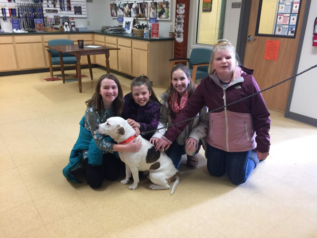 Benton Elementary sixth-grade students from left Alyssa Welch, Paige Goodwin, Meara Flood, and Abigail Taylor recently delivered $2,839.04 to the Humane Society Waterville Area. The funds were raised through a Cause for Paws fundraiser.
