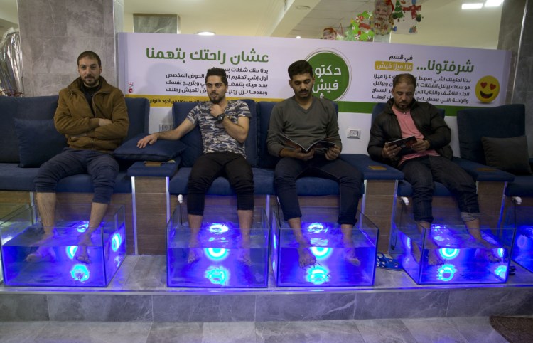 Palestinians soak their feet in a tank stocked with Garra rufa fish at a Gaza City cafe. Fish feed off the tough, dead skin of the feet during 30-minute sessions.