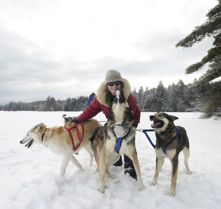 Polly Mahoney of Mahoosuc Guide Service gives her dogs attention during a break while sledding on Umbagog Lake in Errol, N.H., recently. Mahoney has learned that dogs have instincts and distinct personalities that their mushers must get to know to have a successful relationship with them.