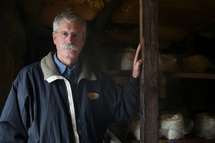 Oakshire Mushroom Farms President Gary Schroeder stands in a growing room in Kennett Square, Pa. The company recently filed for bankruptcy after losing business to shiitake mushroom logs imported from China.