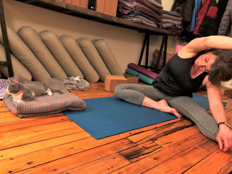 Louise Rosen of Brunswick, a regular at Jai Yoga studio on Maine Street, holds a pose accompanied by one of the 16 adoptable kittens that pounced their way through the studio’s first Kitten Yoga class on Jan. 18.