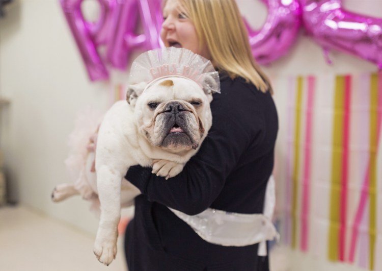 Paisley is wrapped in the arms of her owner, Barbara Dean, at a welcome home party for Paisley on Saturday. 