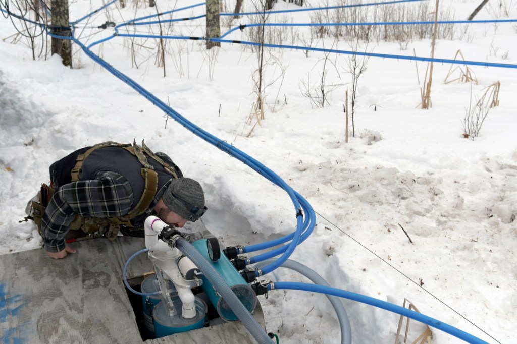 Tyler Jepson inspects a sap line Sunday at the Bacon Farm Maple Products sugar bush in Sidney.