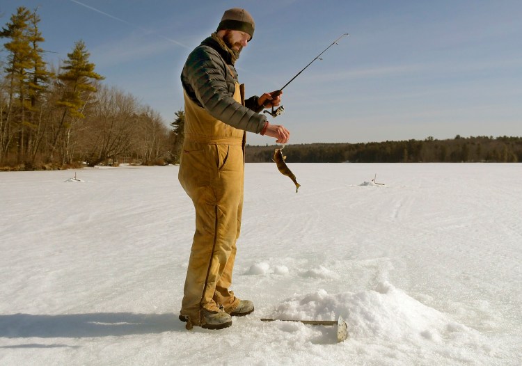 Josh Galouch hauls perch through the ice on Thursday on Maranacook Lake near his home in Readfield. With the opening day of fresh water fishing on April 1, Galouch said "it will be a while" before he takes his children for a cast. He said he cut through two feet of ice set a trap.
