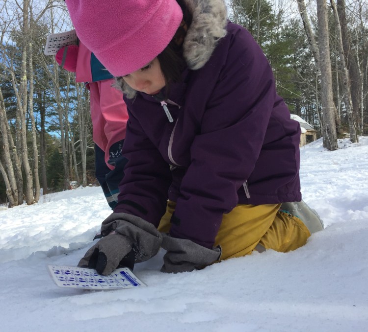 Livia Minasi, a student at Juniper Hill School in Alna, identifies tracks in fresh snow.